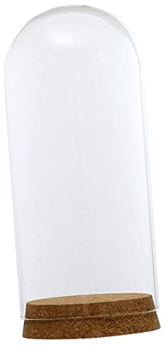 SM SunniMix Cúpula de Vidrio Campana de Cristal con Base Madera Florero Mesa Boda Decoración DIY - 8x18cm