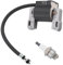 ZAMDOE Ignition Coil Module for Briggs & Stratton 796964 695711 555530 557040 590454 802574 492416 493237 491760 692605, 12A100 121A12 110432 110492 FT50 JS1150 CS3310 Series Engine