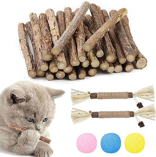 Katzenminze Sticks, Katzen Kauhölzer Sticks, 30+2 Stück Katzen Zahnpflege Spielzeug, Katzen Kauspielzeug, Zahnpflege Katzen, Katzenminze Sticks Für Katzen, Dental Sticks Katze, Kausticks Für Katzen