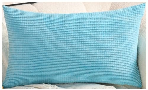 Stretch Sofa Kissenbezug 40x60/50x70 Kissenbezüge 60x70, Kuschelkissen Bezug Zierkissenbezug Dekokissen Sofakissen mit Reißverschluss Kissenhülle 50x80 Dekorative ( Color : Aqua Blue , Size : 30x50 cm