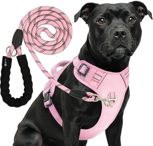 Reichstadt Pets Hundegeschirr mit Leine Set 25RSP083-4 Pink M