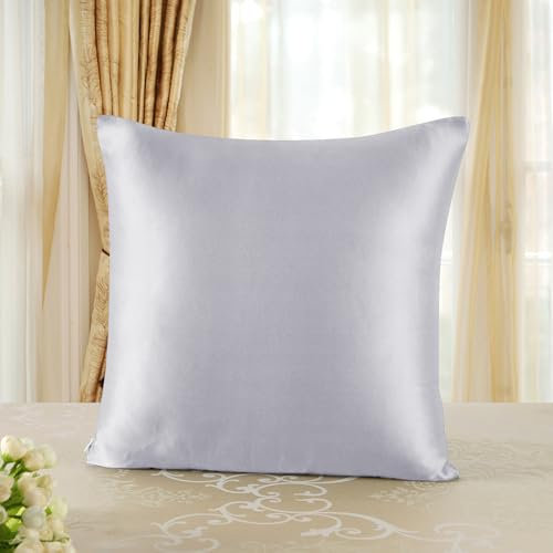townssilk Taie d'oreiller en Soie, 65x65cm, 100% Soie de mûrier Naturelle 19 Momme, Deux Faces en Soie, certifiée Oeko-Tex, Douce pour la Peau et Les Cheveux, 1 unité,Gris Argenté