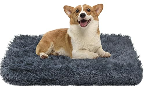 Hundebett Orthopädisch Mittelgroße Hunde Memory Foam Hundematte mit Abnehmbarem Waschbarem Bezug Wasserdicht Flauschig Hundematratze Rutschfest Ergonomisches Hundekissen Plüsch Hundekorb Hundekörbchen