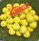50 gelbe Lakeballs/Golfbälle AAA/AA Qualität