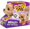Battery Operated Plush Redley the Retreiver by WESTMINSTER