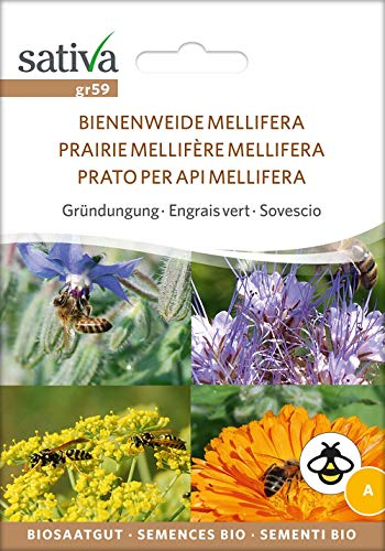Sativa Rheinau gr59 Gründüngung Bienenweide Mellifera (Bio-Gründünger)
