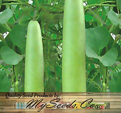 (15) Calabash lungo Squash/Semi di melone: Only Seeds