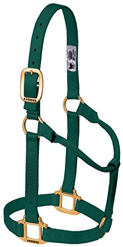 Weaver Leather Original Pferdehalfter, Nylon, Nicht verstellbar, groß, Grün (Hunter Green)