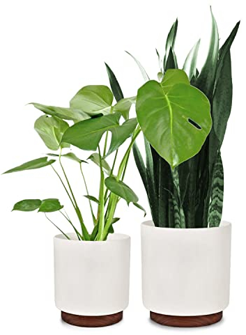 Fox & Fern Weiße Blumentöpfe (2er-Set) – 25,4 cm und 30,5 cm Premium-Polystein-Pflanzgefäße mit Ablaufstopfen und Holzsockel; für Innen- und Außenpflanzen; passend für F&F-Pflanzenständer
