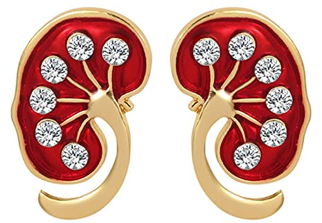 HCMA Rote Niere Kristall Emaille Pin Niere Pin Medizinisches Geschenk Arzt Krankenschwester Broschen Gold Silber Farbe Trendy Schmuck Damen Accessoires