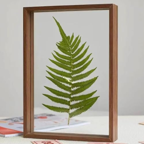 Serenitison Marco de fotos de vidrio transparente de doble cara, foto de madera, marco flotante de doble cara, marco de fotos de plantas secadas de hojas, marco de fotos de caligrafía, marco de fotos
