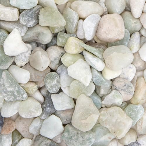 Patapalooza Gravier Vert décoratif, 10-20 mm, idéal pour l'aménagement paysager, Le Jardinage et la Construction d'aquariums.