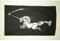 AZ FLAG - Flagge Schwarzes Einhorn - 150x90 cm - Unicorn Fahne 100% Polyester mit Messing-Ösen - 110g