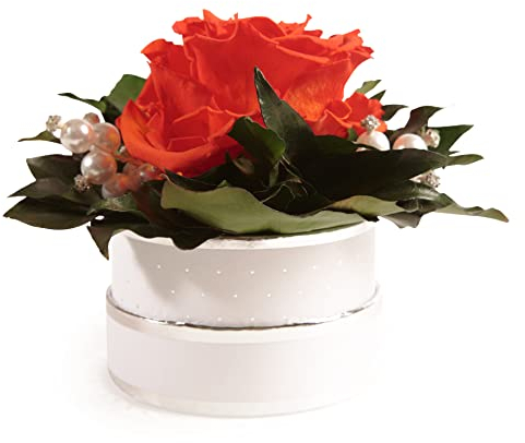 Infinity Rosenbox Kristall und Perlen 1 echte Rose haltbar Mama Geschenk Muttertag (Orange)
