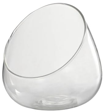 Vase en Verre Transparent, Bol Incliné Mini 12x12 cm, Plat à Bonbons, Pot à Fruits, Bol de Terrarium pour Table