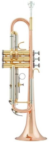 aS Arnolds & Sons ATR-4200G Terra in B Trompete - Goldmessing lackiert