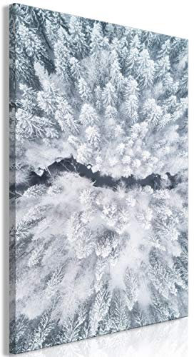 decomonkey Bilder Wald Winter 80x120 cm 1 Teilig Leinwandbilder Bild auf Leinwand Vlies Wandbild Kunstdruck Wanddeko Wand Wohnzimmer Wanddekoration Deko Natur Schnee