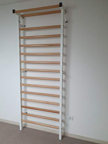 ARTIMEX Espalier métal/Bois (échelle suédoise) pour la physiothérapie et la Gymnastique - utilisées dans Les Maisons, Les gymnases, Les cliniques et Les centres de Fitness - Code 221-M