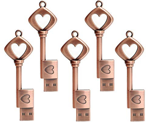 LEIZHAN 5 Pack 64GB Love Heart Key Flash Drive USB 2.0 Memory Stick Cute Jump Drive Metal Thumb Drive Retro USB Stick Pendrive Gift U Disk