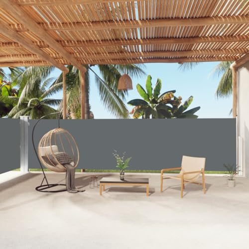Home Outdoor OthersVersenkbare Seitenmarkise Anthrazit 160x1000 cm