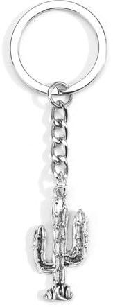 Cactus Keychain for Women, Cute Friendship Keyring, Gifts for Good Friend, Girlfriend, Unique Birthday Gift, Inspirational Travel Accessories, Thank You, Retirement, Teacher Gifts