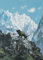 Inkognito Postkarte A6 • 24754 ''Dackel im Gebirge Künstler: Rudi Hurzlmeier • Urlaub