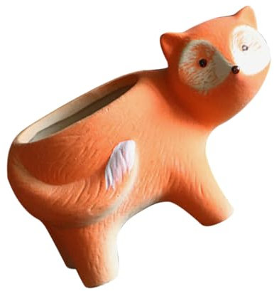 HANABASS Fuchsblumentopf aus Keramik für Sukkulenten, Orange, Cartoon