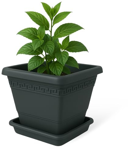 TECHZOCO Macetero con Plato, Maceta Cuadrada clásica de plástico con Plato, Tiesto para Plantas, Fabricado en Polipropileno (Antracita, 30 cm)