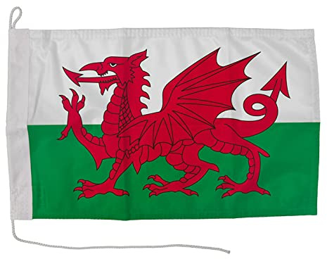 Everflag Motorrad-/Bootsflagge 25x40cm: Wales