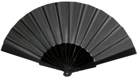 Ashprint (London) Limited Black Plastic/Fabric Hand Fan