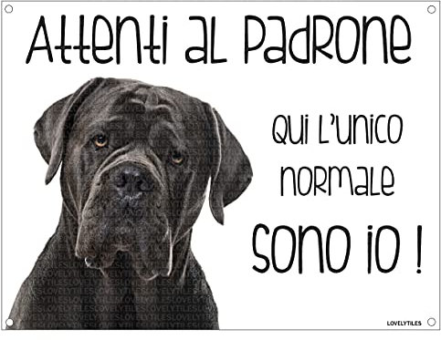 CANE CORSO Attenti al padrone qui l'unico normale sono io! CANE CARTELLO TARGA IN METALLO (20X30)