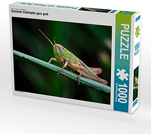 CALVENDO Puzzle Gemeiner Grashüpfer ganz groß | 1000 Teile Lege-Größe 64 x 48 cm Foto-Puzzle für glückliche Stunden