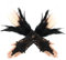 Darryy Mardi Gras Kostüme Gothic Feder Manschette Handgelenk Armband für Halloween (Schwarz)