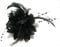 Flower Feather Bead Corsage Hair Clips Fascinator Hairband and Pin (Black)