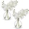 2 pcs Künstliche Orchideen weiß mit Glasvase, Kunstpflanze Decor Orchideen Kunstblumen im vase mit Real Touch Blüten, Gefälschte Orchideen künstliche Bonsai für Hotel Wohnzimmer Büro Küche