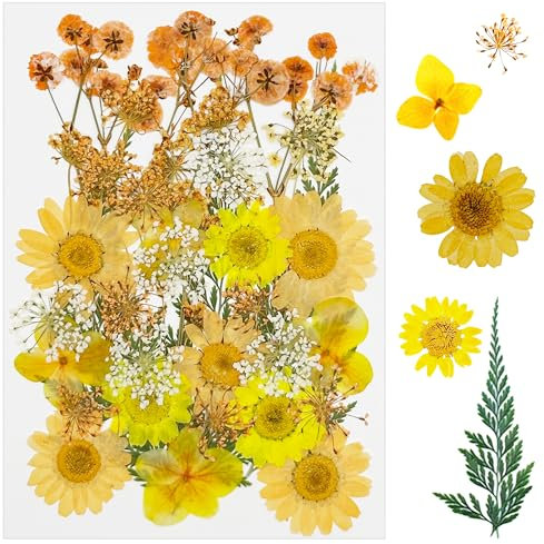 Cayway 33 Stück Getrocknete Gepresste Blätter, Natürliche Getrocknete Blumen, Natürliche Trockene Blätter für DIY Harz Schmuck Nail Crafts Art Blumendekoration, Gelb