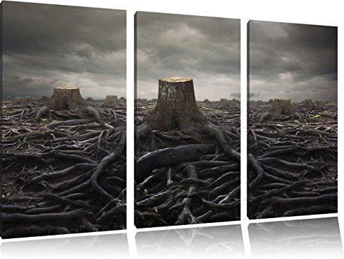 Pixxprint Gerodeter Wald, Leinwandbild 3 Teilig, Gesamtmaß: 120x80cm, Wandbild, Dekoration, fertig gespannt, Kein Poster