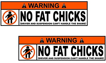 #313/2x NO FAT CHICKS Aufkleber je ca. 12 x 3,4 cm DUB Scene Low Airride Gewindefahrwerk Tief Deep OEM JDM Sticker