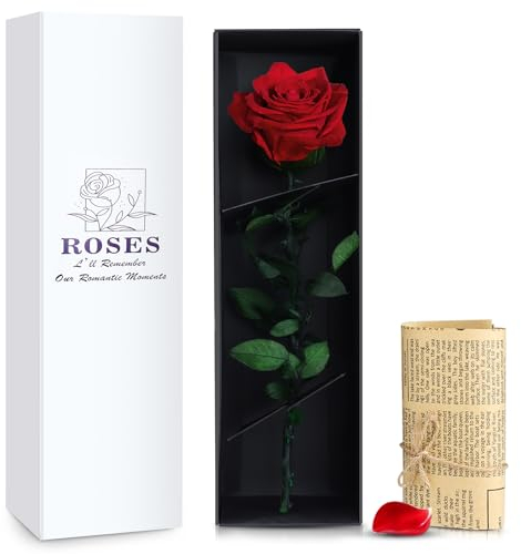 PARAROSE Rote Infinity Rosen in Geschenkbox, Echte Konservierte Rose, Ewige Blume Blumen Geschenk mit Rosenduft mind 3 Jahre Haltbar, Geschenk für Jeden Anlass