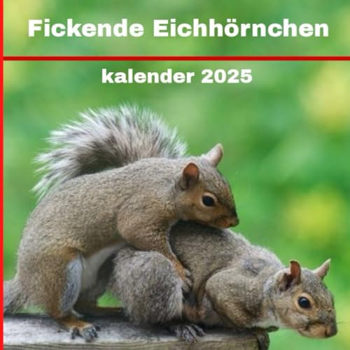 Fickende Eichhörnchen kalender 2025