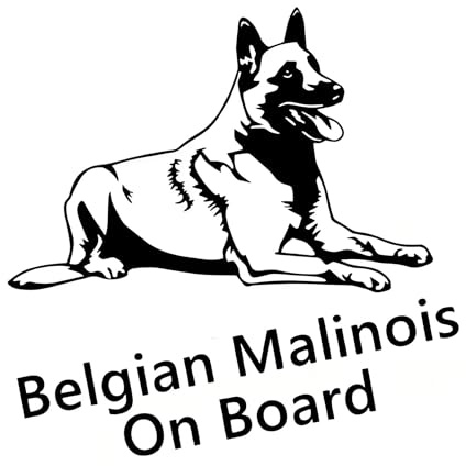 Belgische Malinois On Boaard Autoaufkleber, Wasserfester Reflektierender Aufkleber, Schwarzes PVC, für Auto, Laptop, Kühlschrank ((15cm/5.91inch))