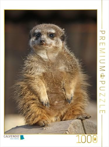 CALVENDO Puzzle Erdmännchen | 1000 Teile Lege-Größe 48 x 64 cm Foto-Puzzle für glückliche Stunden