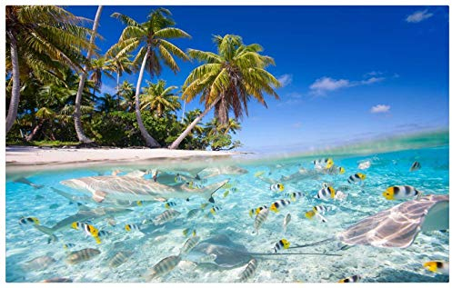 TWYYDP Puzzel Erwachsene 1000 Teile Seehaifisch-Strandlandschaft Unisex-Spiele