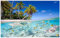 TWYYDP Puzzel Erwachsene 1000 Teile Seehaifisch-Strandlandschaft Unisex-Spiele