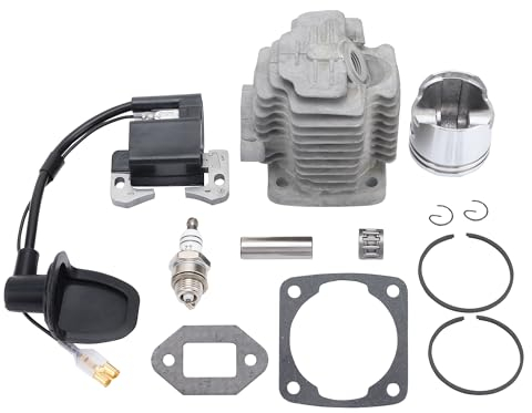 WOOSTAR 44mm Big Bore Cilindro con Pistón Kit y Juntas y Bujía Reemplazo para 2 Tiempos 43cc 47cc 49cc Mini China ATV Quad Pocket Bike Gas Scooter