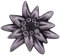 AOTEMAN Edelweiss Emaille Pin Deutsche WWII Militär Blume Metall Anstecker schwarz, Emaille, Kupfer, Metall