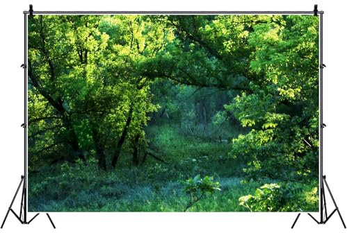 Bovlleetd 150x120cm Dschungel Wald Hintergrund Vinyl Grün Bäume Blätter Natürliche Landschaft Fotografie Hintergrund Geburtstag Party Dekorationen Urlaub Go Wandern Poster Fotostudio Requisiten