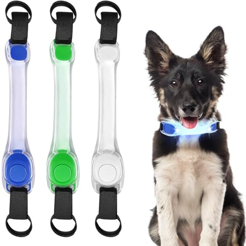 BORDEAG 3 Stück Leuchthalsband Hunde, Hundehalsband Leuchtend, Sicherheits Led Leuchtband Für Hunde Katzen, Wasserdichtes, 3 Beleuchtungsmodi, Einfach An Halsband Leine Und Geschirr Zu Befestigen
