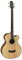 Gitarre Takamine Basse Electro Cutaway