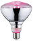 Paulmann 28737 LED Lampe Pflanzenlicht 6,5W Leuchtmittel Wachstumslicht Beleuchtung Glas Licht 1300 K E27